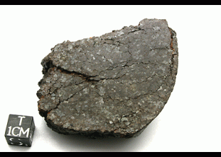NWA 5951 AURE (prov)  UREILITE 134.62 g, MM