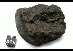 NWA 5951 AURE (prov)  UREILITE 134.62 g, MM