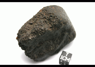 NWA 5951 AURE (prov)  UREILITE 134.62 g, MM
