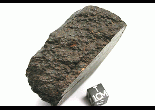NWA 5951 AURE (prov)  UREILITE 134.62 g, MM