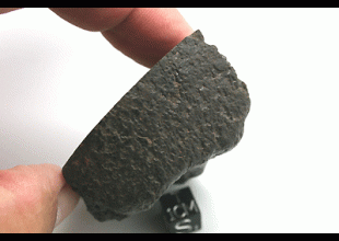 NWA 5951 AURE (prov)  UREILITE 134.62 g, MM