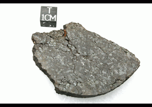 NWA 5951 AURE (prov)  UREILITE 134.62 g, MM