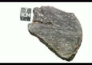 NWA 5951 AURE (prov)  UREILITE 134.62 g, MM