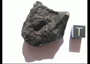 WILUNA H4   Top crusted orientated Individual   Weight: 39.76 g