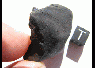 WILUNA H4   Top crusted orientated Individual   Weight: 39.76 g