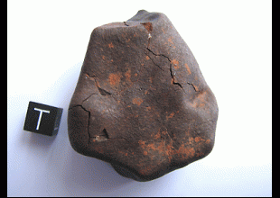 MULGA (north) H6, crusted Individual, Weight: 110.75 g