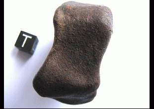 MULGA (north) H6, crusted Individual, Weight: 110.75 g