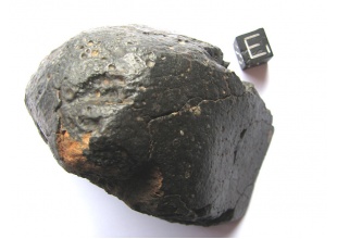 NWA 4685 CVox3  Carbon. Chondrite, 367.2 g, MM