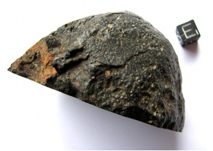 NWA 4685 CVox3  Carbon. Chondrite, 367.2 g, MM